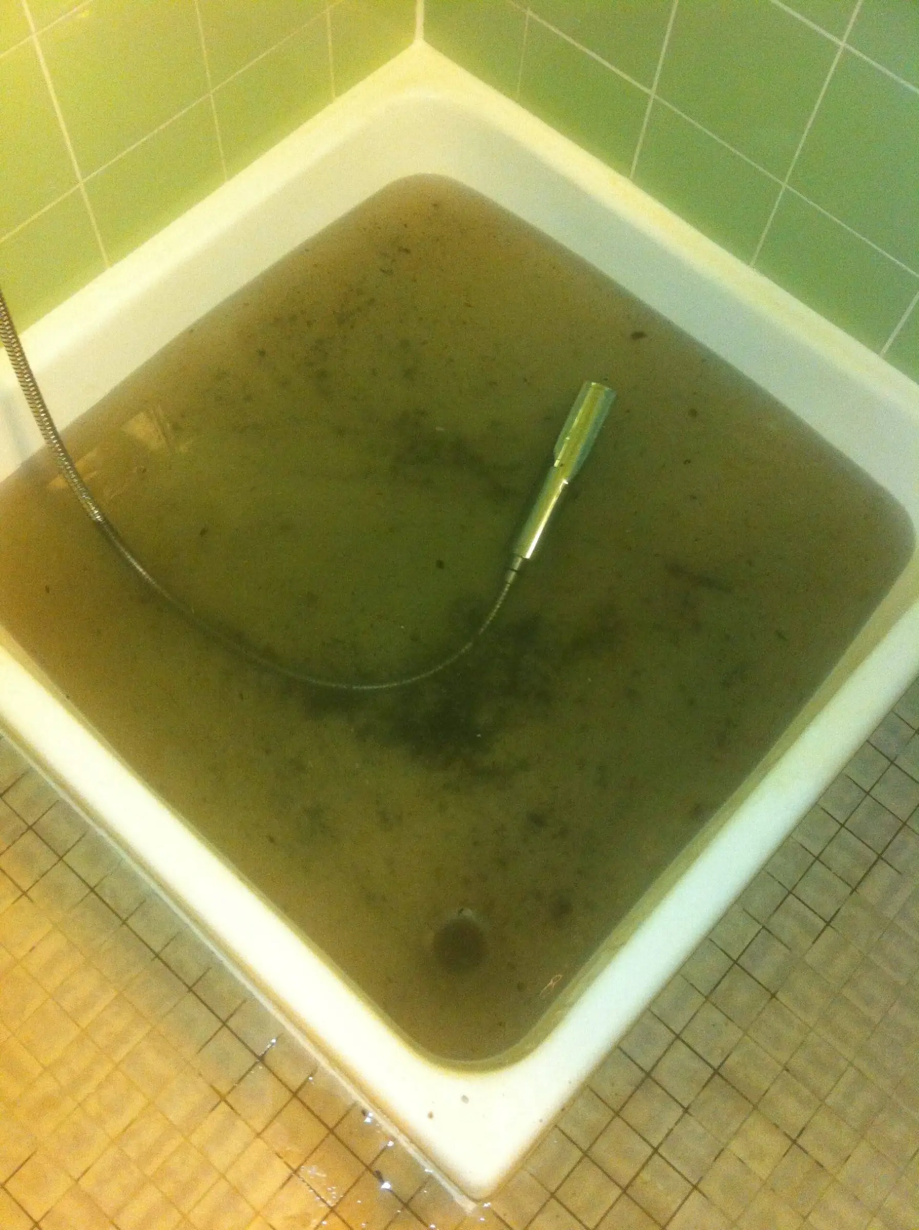 Baignoire bouchée remplie d’eau stagnante avant intervention